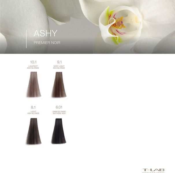 Крем-фарба Premier Noir colouring cream 1.0 natural black 66075 фото